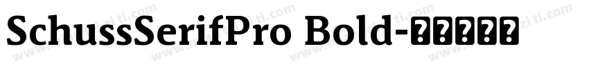 SchussSerifPro Bold字体转换